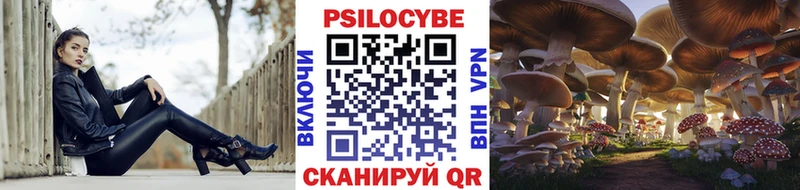 Псилоцибиновые грибы Psilocybe  Купить закладки  Грязи 